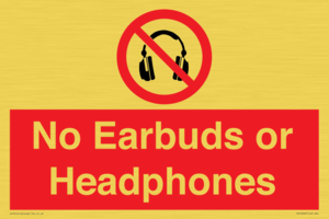 No Earbuds or Headphones